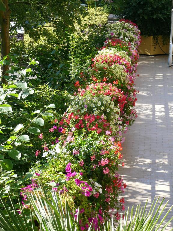 Tabiano Terme Albergo Ariston מראה חיצוני תמונה